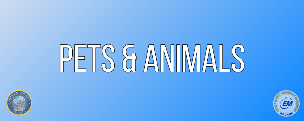 PETS AND ANIMALS
